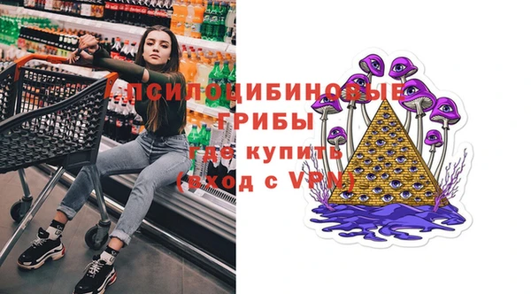 шишки Алексеевка